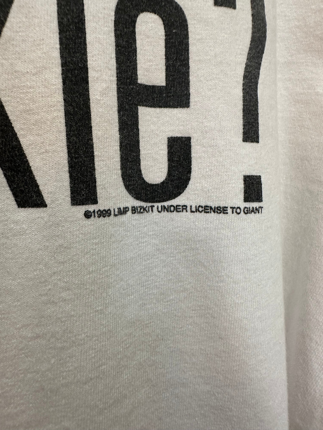 1990s LIMP BIZKIT official T-shirt got nookie?