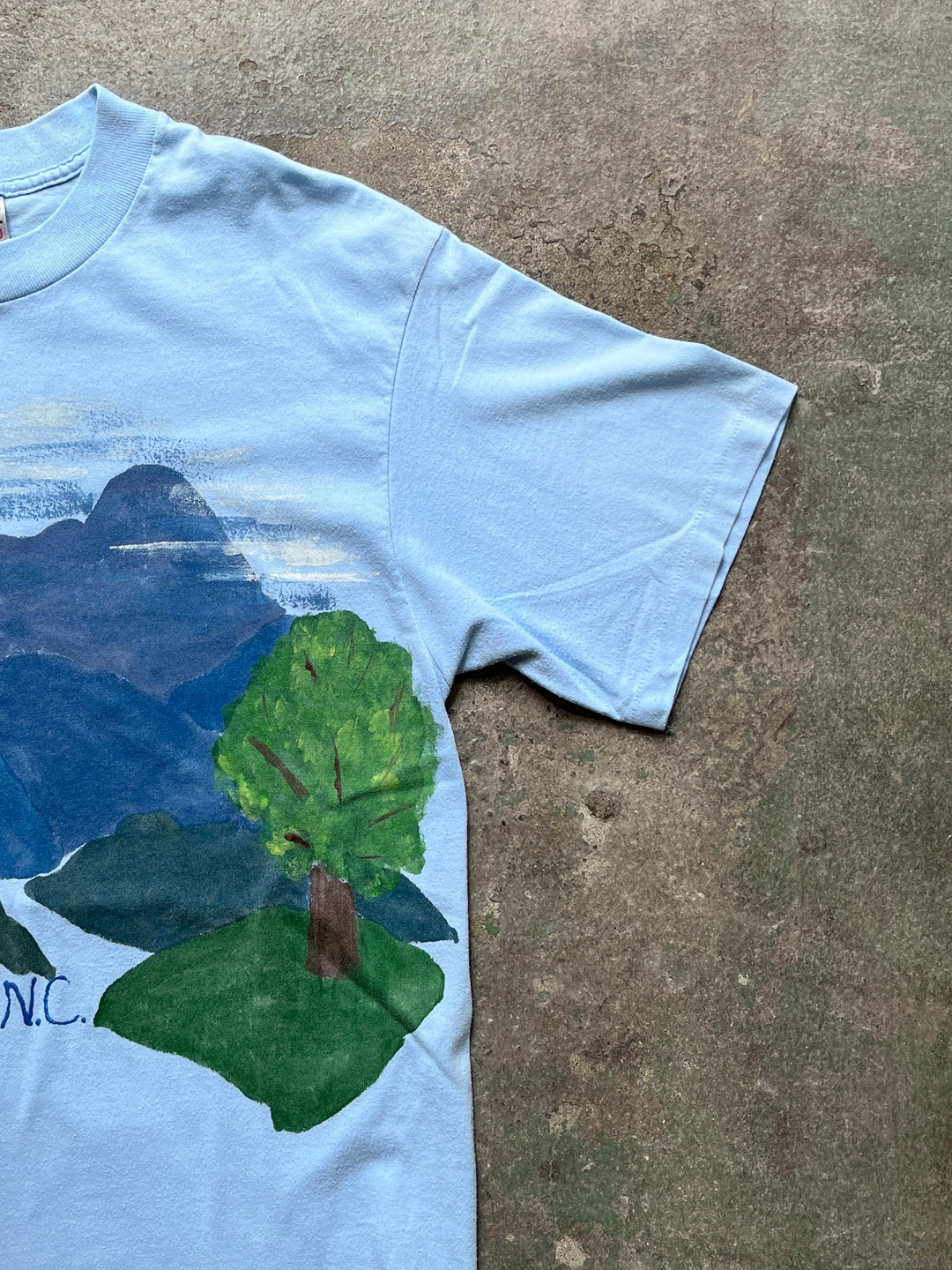 1990s USA made blue ridge Mount. hand-painted style print T-shirt