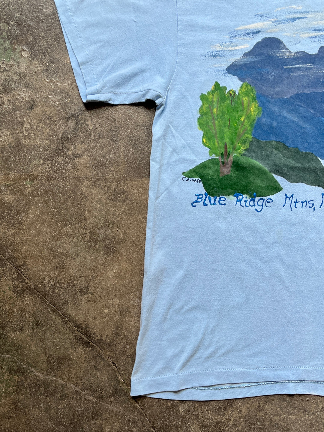 1990s USA made blue ridge Mount. hand-painted style print T-shirt